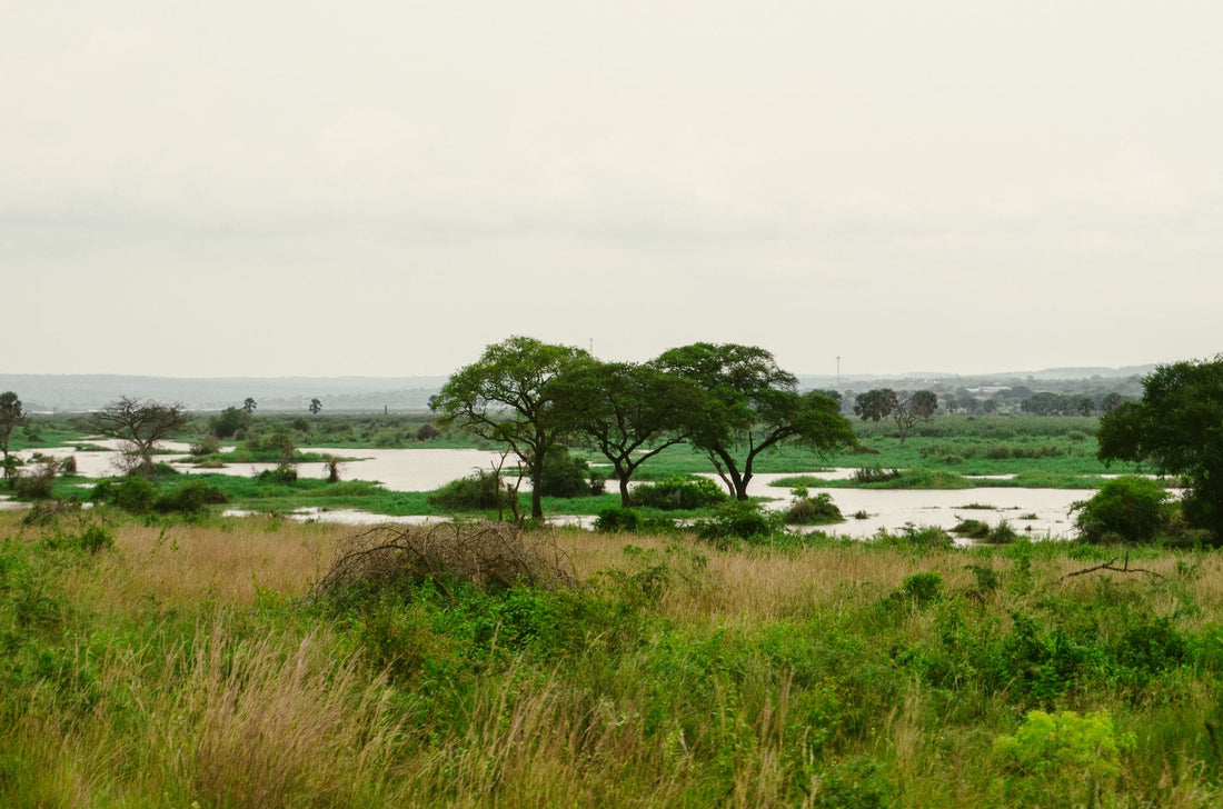 Best Holiday Places In Uganda